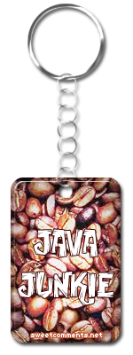 Java Junkie