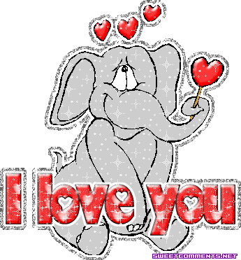 Elephant Love You