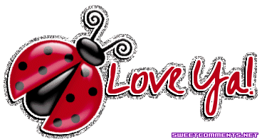 Ladybug Love Ya picture