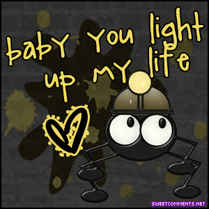Light Up My Life Bug picture
