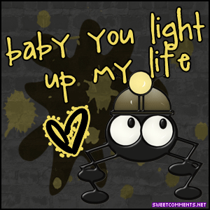 Light Up My Life Bug