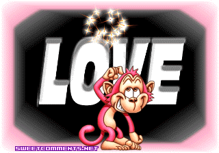 Monkey Love picture