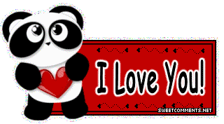 Panda Love picture