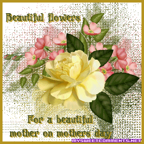 Beautiful Flowers