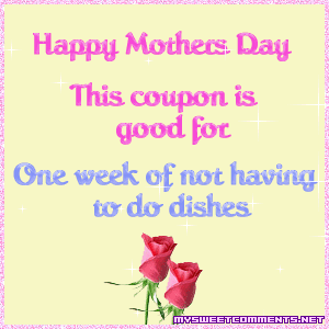 No Dishes