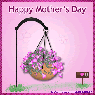 Pink Flowers