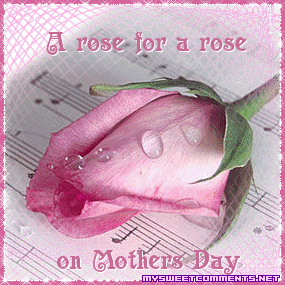 Rose For A Rose