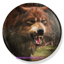 Werewolf picture