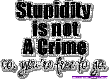 Stupidity Not Crime picture
