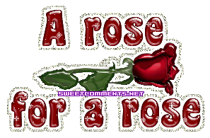 A Rose Is A Rose picture