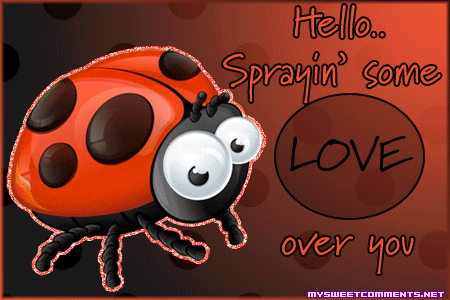 Hello Spraying Love picture