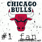 Bulls Fan picture