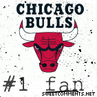 Bulls Fan