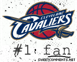 Cavaliers Fan picture