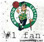 Celtics Fan picture