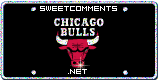 Chicago Bulls picture