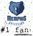 Grizzlies Fan picture