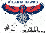 Hawks Fan picture