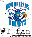 Hornets Fan picture
