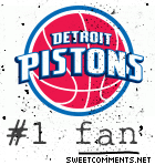 Pistons Fan