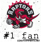 Raptors Fan