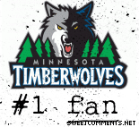 Timberwolves Fan picture