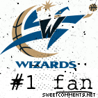 Wizards Fan picture