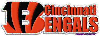 Cincinnati Bengals picture