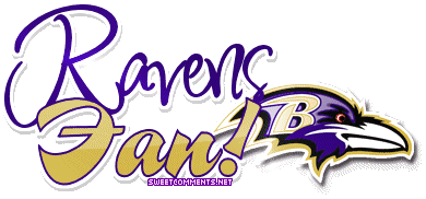 Ravens Fan