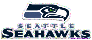 Seattle Seahawks picture