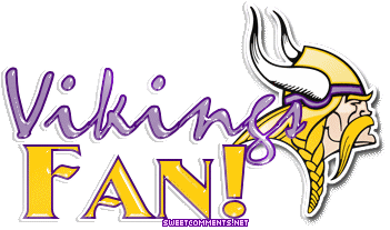 Vikings Fan