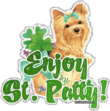 Yorkie Enjoy St Patty picture