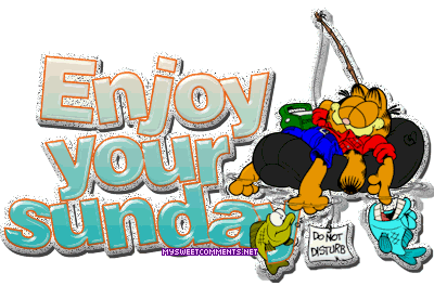 Garfield Enjoy Sunday picture