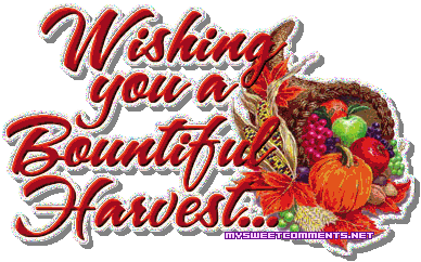 Bountiful Harvest