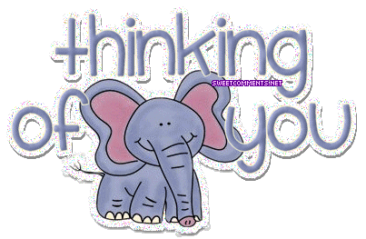 Elephant Thinking picture
