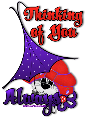 Thinking Of You Cat picture