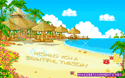 Tuesday Beautiful Beach