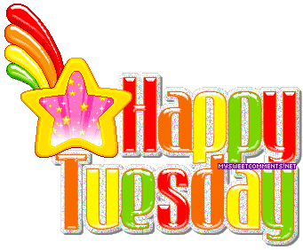 Tuesday Falling Star