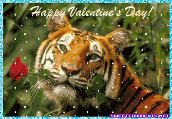 Tiger Valentine