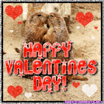 Val Squirrels Kissing picture