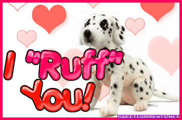 Z Val I Ruff You picture