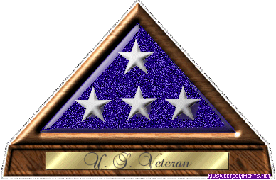 Us Veteran picture