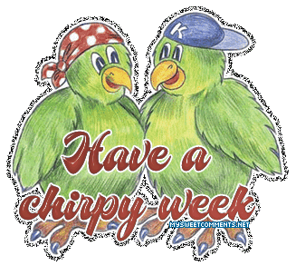 Chirpy Week picture