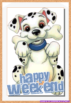 Dalmation Happy Weekend picture