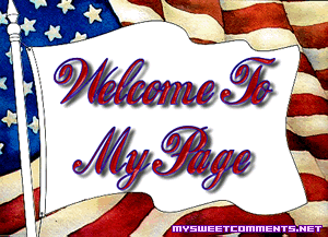 Welcome Flag picture
